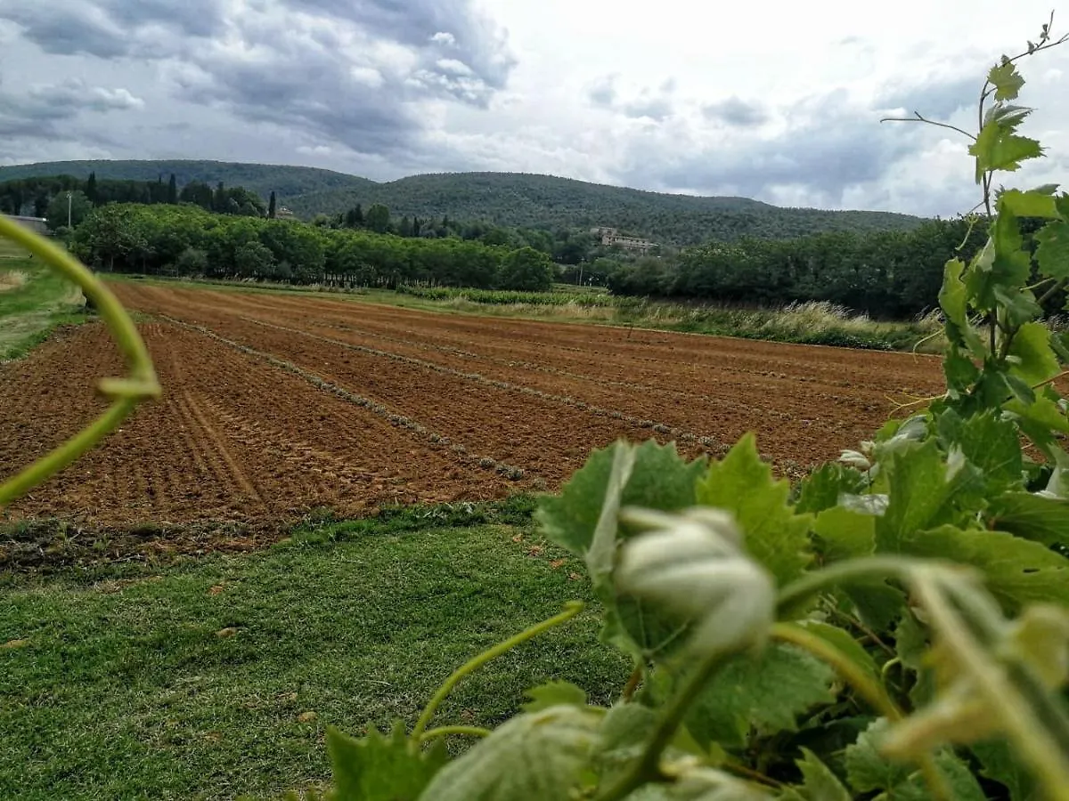 Apartment Claudia Vacanza Toscana - Appartamento Nocciolo- 10 Min Da Siena Malignano