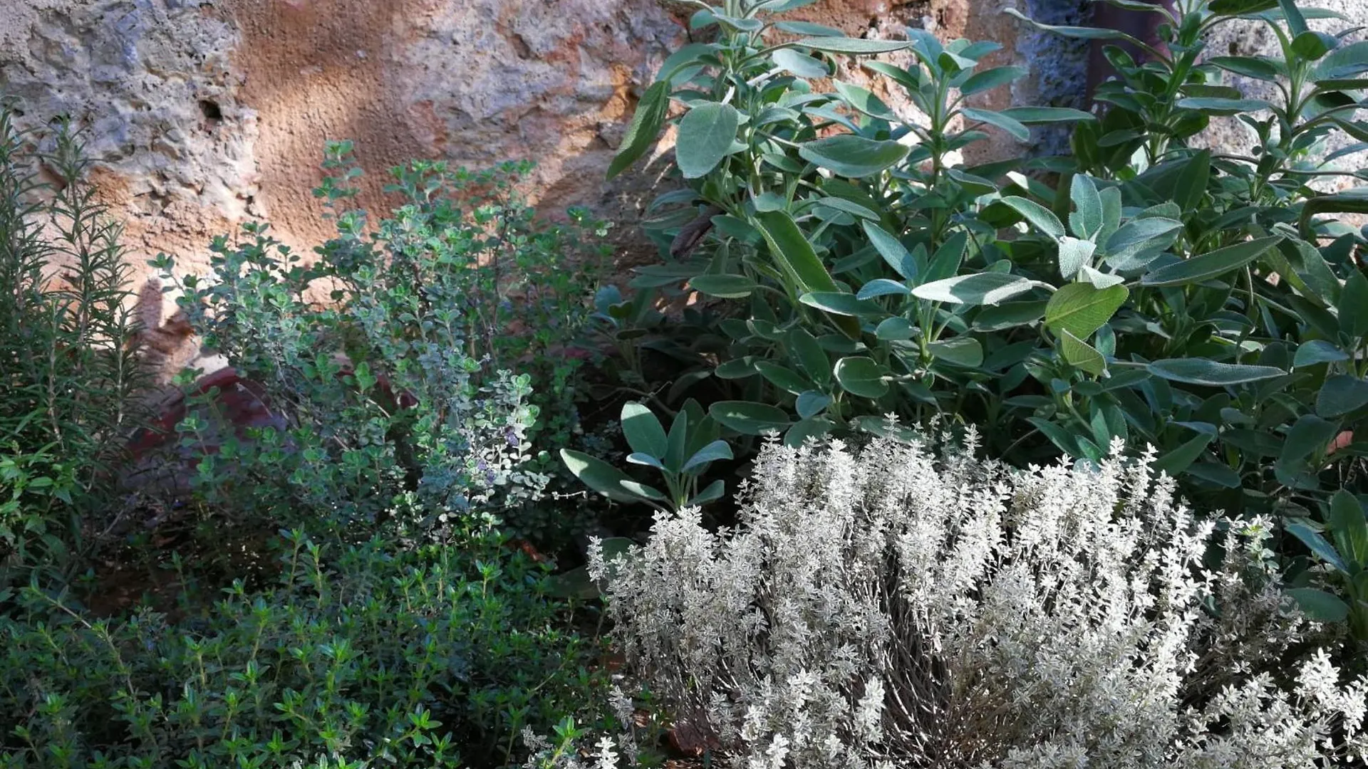 Apartment Claudia Vacanza Toscana - Appartamento Nocciolo- 10 Min Da Siena Malignano