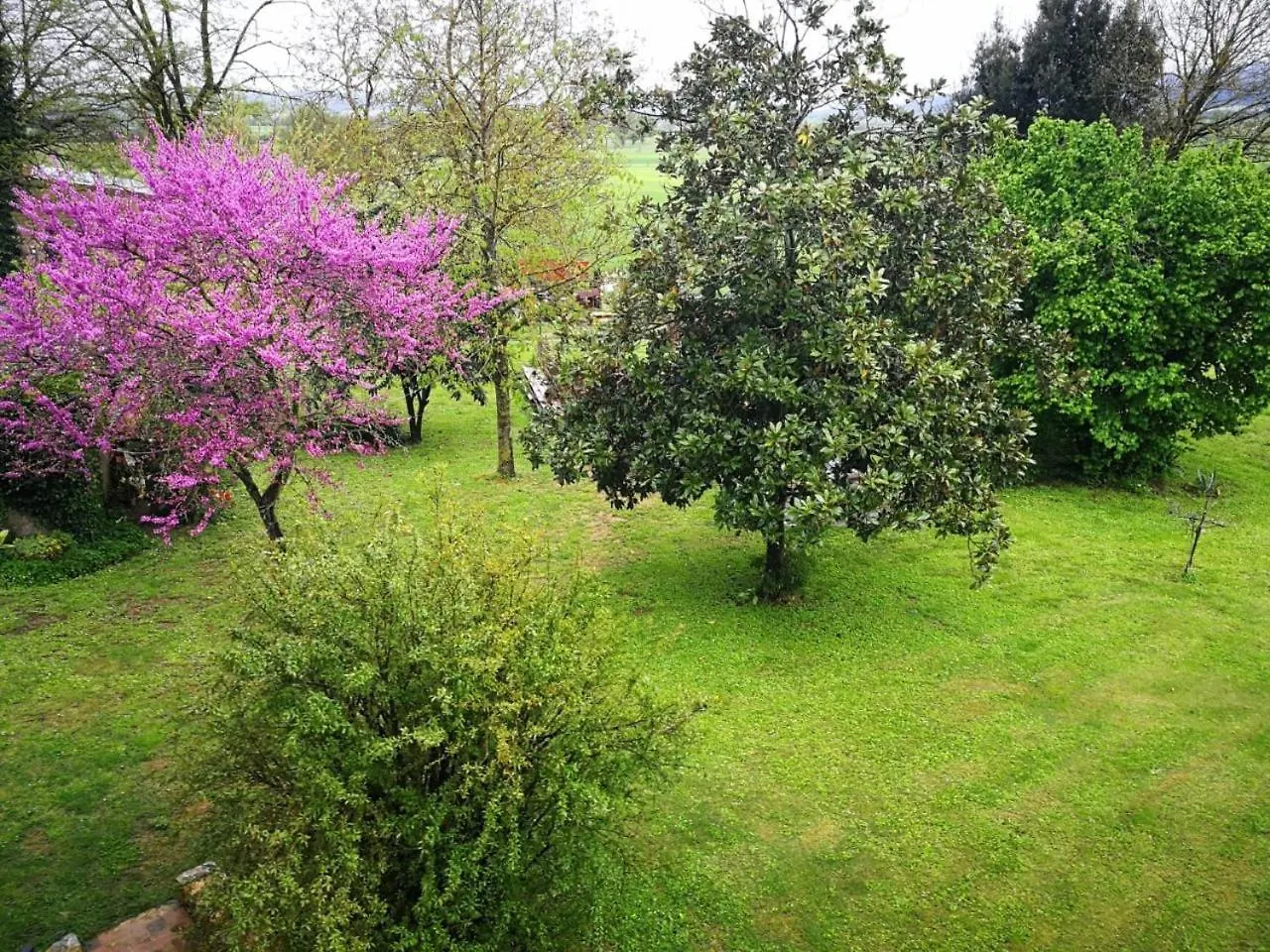 Apartment Claudia Vacanza Toscana - Appartamento Nocciolo- 10 Min Da Siena Malignano