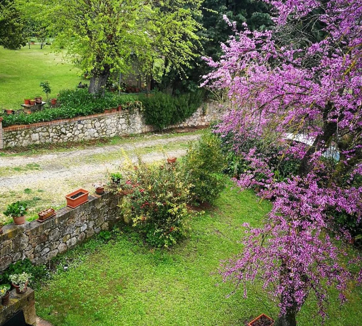 Claudia Vacanza Toscana - Appartamento Nocciolo- 10 Min Da Siena Malignano Apartment