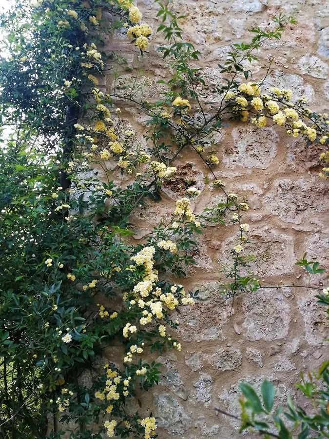 Claudia Vacanza Toscana - Appartamento Nocciolo- 10 Min Da Siena Malignano Italy